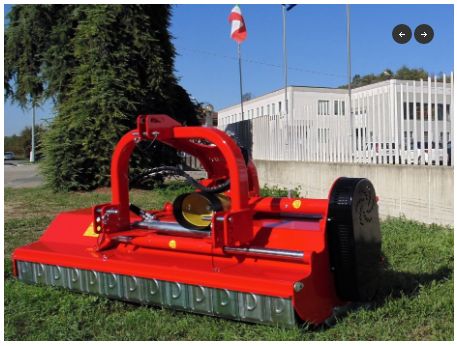 Broyeur forestier Dragone Web - pour herbe, sarments et bois de moyenne dimension - vignobles et arboricultures_1