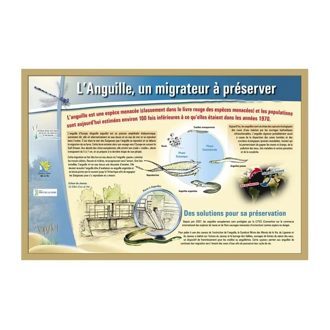 Création graphique pour la signalétique_1