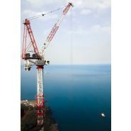 CTL 650F-45 - Grue à tour à flèche relevable Terex - Capacité de levage max. 45 t (49,6 t US) - Longueur de flèche 65 m_1