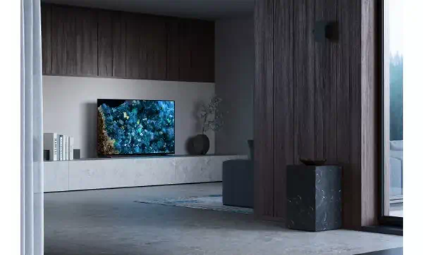 Sony FWD-65A80L TV 165,1 cm (65