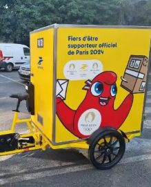 Vélo cargo triporteur VUF avec module Cleaner - 150 kg - Transport de déchets verts, palettes et matériel d'entretien_2
