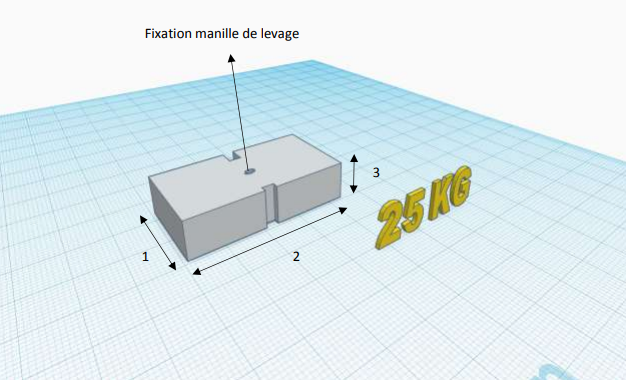 Masse 25 kg pour essai de palans et ponts roulants - 250 x 500 x 90mm - REF2220025_1