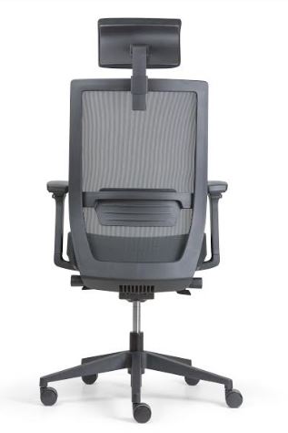 Fauteuil ergonomique Ergo - mécanisme synchrone, soutien lombaire réglable, accoudoirs et têtière ajustables, dossier en résille noire_2