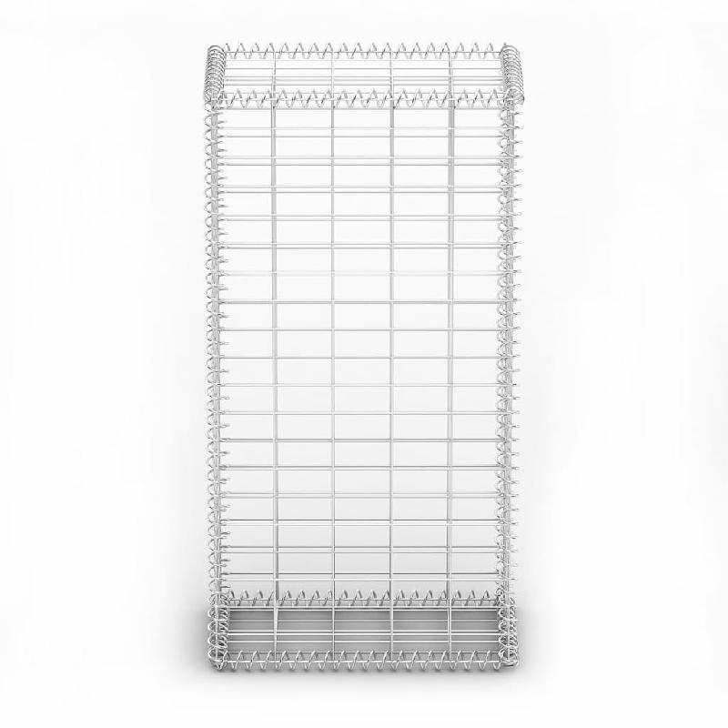 Vidaxl panier de gabion avec couvercle fil galvanisé 100 x 50 x 30 cm 141039_1