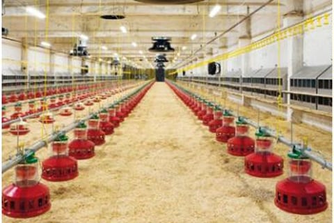 Appareil anti-calcaire Vulcan - technologie à courant d'impulsion, écologique et efficace pour exploitation avicole_1