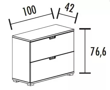 Armoire 2 tiroirs pour dossiers suspendus (L : 100 cm x P : 42 cm x H : 76,60 cm) So Laroya_1