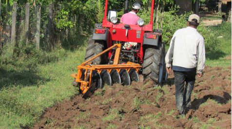 Belarus 421 - Tracteur agricole - MTZ Belarus - moteur diesel 4 cylindres - puissance 49,8/36,6 kW (c.v.) - prise de force 2 vitesses_1