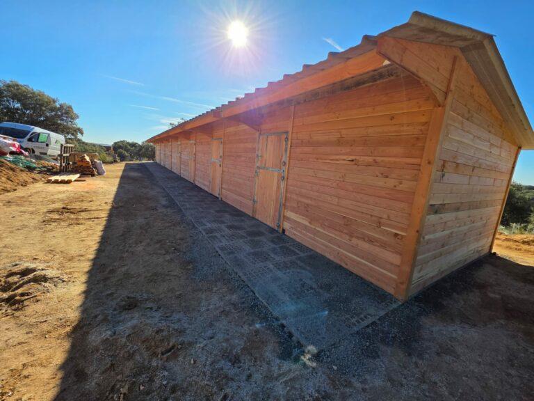 8 boxes chevaux en ligne - Douglas - BOX039 - robustesse et esthétisme_1