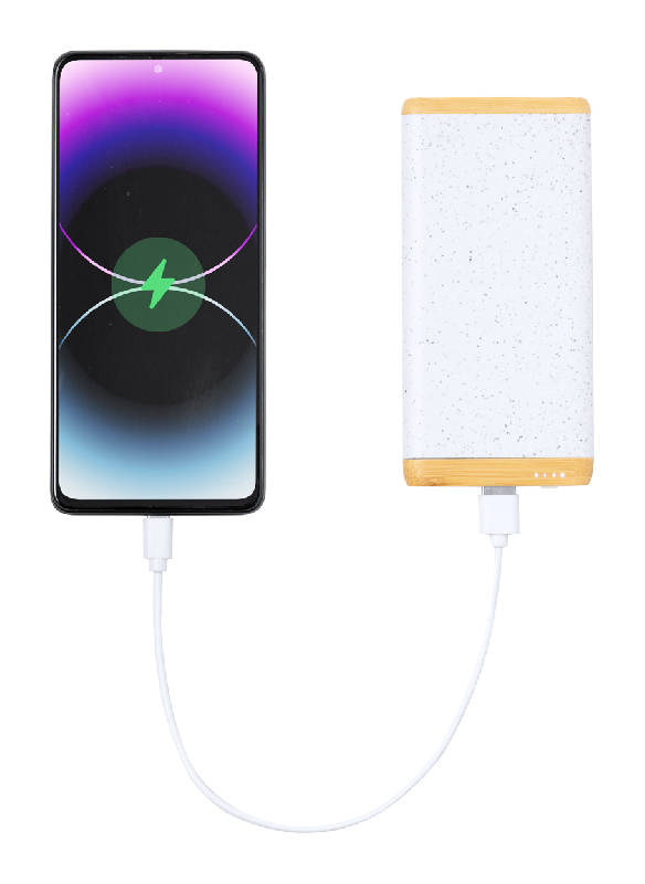 Power Bank USB - bambou et plastique de paille de blé écologique - 5000 mAh - ports USB et USB-C_1