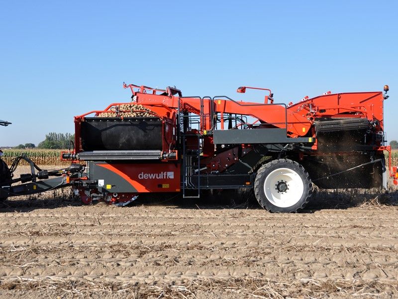 Arracheuse par tamisage Torro - Dewulf BV - trémie 6 t - largeur 3370 mm - 2 rangs - Inclino Master®_1