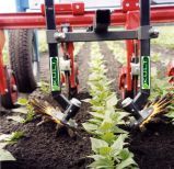 Bineuse polyvalente K.U.L.T.-Kress pour binage sur les rangs