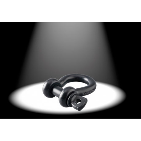 Manille lyre Green Pin 