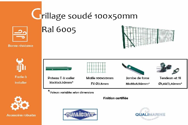 Grillage soudé maille 100x50mm Ral 6005 - 1500_1