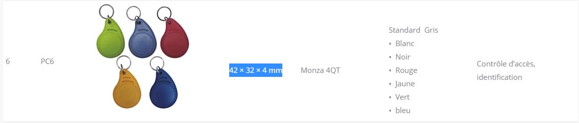 Pc6 - porte clés et badge RFID - SparTag GmbH - 40×32×4 mm - personnalisables et robustes_1