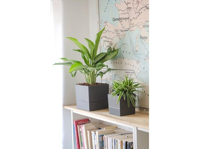 Pot de fleur carré en polypropylène - 19,3 cm - Gris anthracite - Avec réserve d'eau_1