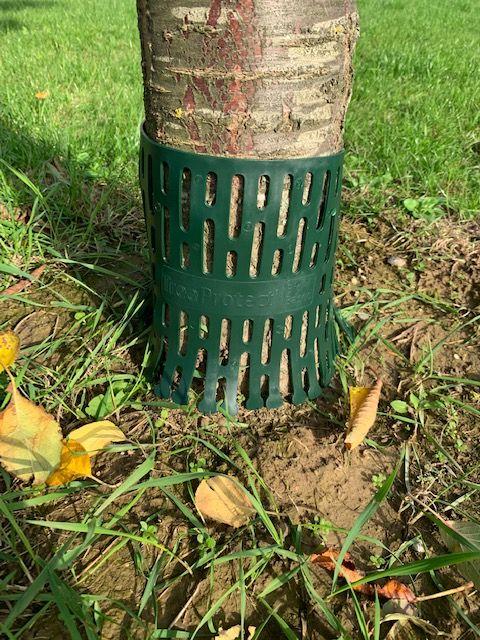 Protection anti-coupe pour arbre - vert, 21 (H) x 36 (L) cm, matériau PE, épaisseur 2 mm_1