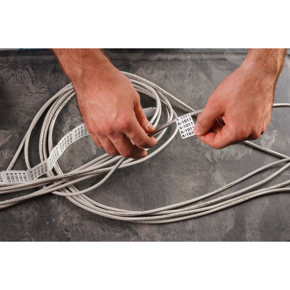 Bmp51 et bmp53 - etiquettes médicales et pharmaceutiques - brady - en tissu vinyle repositionnables_1