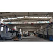 Pont roulant monopoutre avec une capacité de charge maximale 1/1000 t - structure économique et compacte - ARNIKON_1