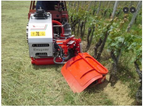 Weed CR - Broyeur forestier Dragone Web - Épareuse robuste et performante_1