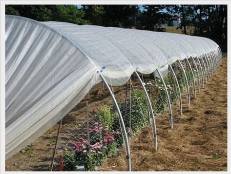 Rapid - Serre tunnel Natural - Largeur 3m - Acier renforcé 25mm x 2mm_1