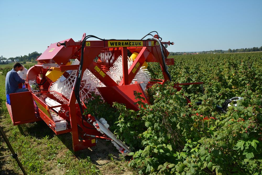 Récolteuse NATALIA-V avec une productivité de 0,20 à 0,30 ha/h