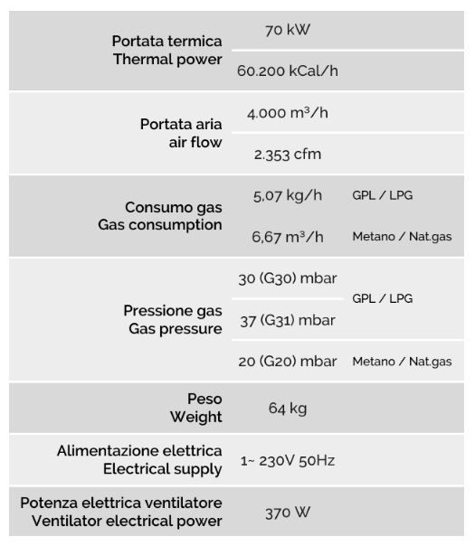 G Max - Générateur d'air chaud à gaz naturel ou GPL - 70 kW - Résistant à la corrosion_1