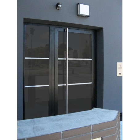 Porte d'entrée en acier - Double vitrage isolant - Serrures multipoints et motorisation PMR_1