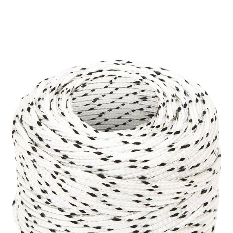 Vidaxl corde de bateau tressé blanc 2 mmx100 m polyester 152743_1