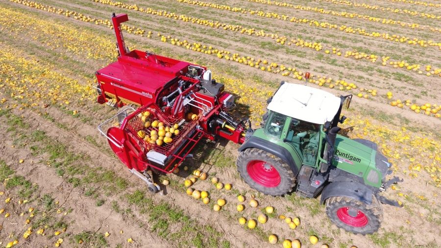 Récolteuse de pépins de citrouilles ke 3000 hydro s - moty gmbh - performance 1 à 1.5 ha/h - puissance 80 kw_1