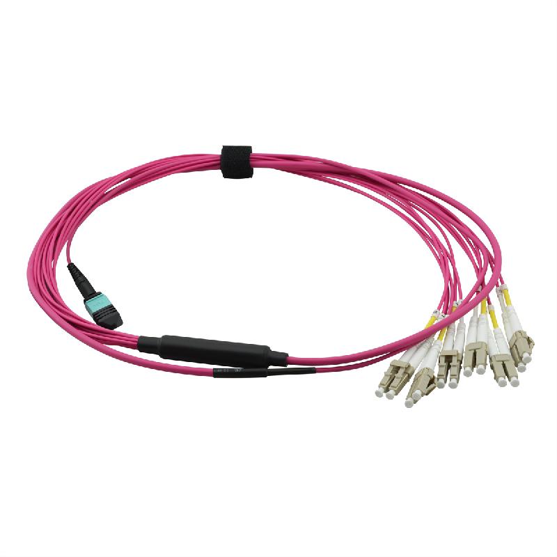 VALUE Câble MPO Fan-Out 50/125µm OM4, MPO / 12xLC, violet, 2 m_1