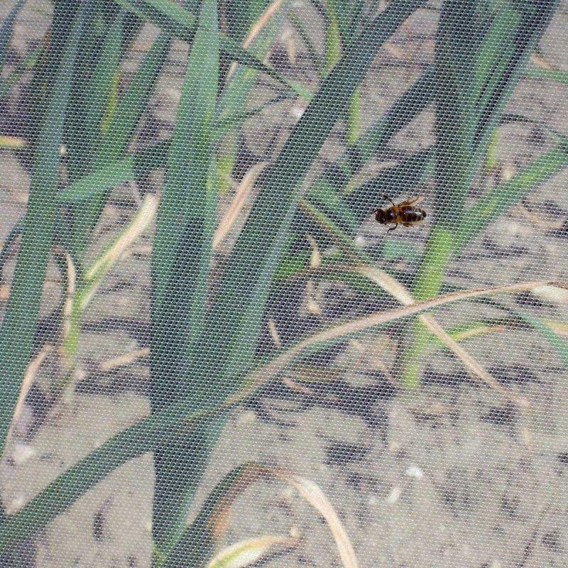 Filet anti-insectes - 5x2,2 m - Blanc - Maille fine 0,85 mm - Réf. 141426_1