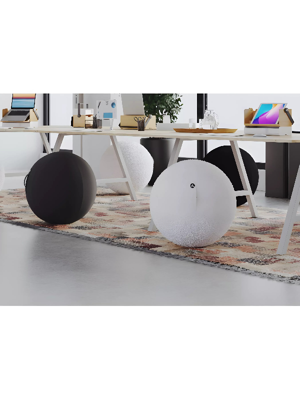 Ballon ergonomique ERGOBALL bouclette blanc_1