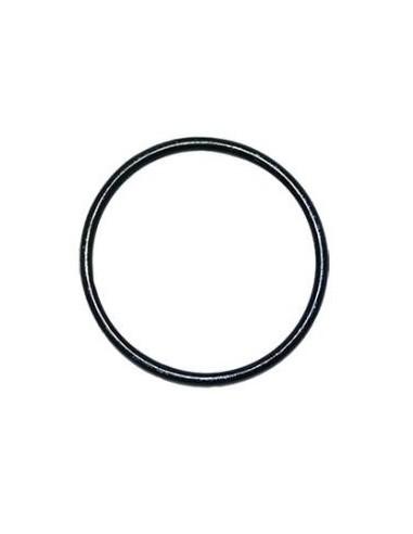 Joint torique Big Blue - 10 et 20 pouces - pour porte-filtre_1