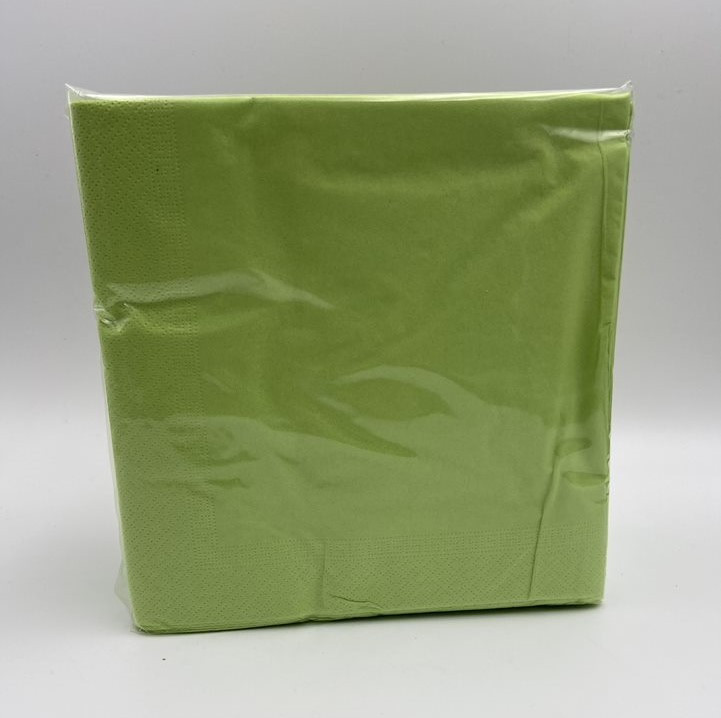 SERVIETTES ouate 2PLIS 40x40 paquet de 100_1