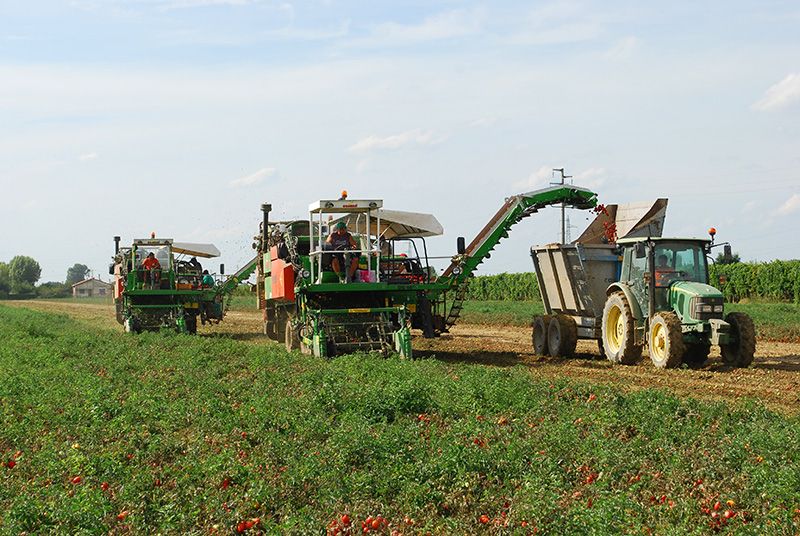 Récolteuse Super G 150-48