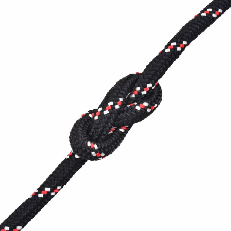 Vidaxl corde de bateau polypropylène 8 mm 100 m noir 91285_1