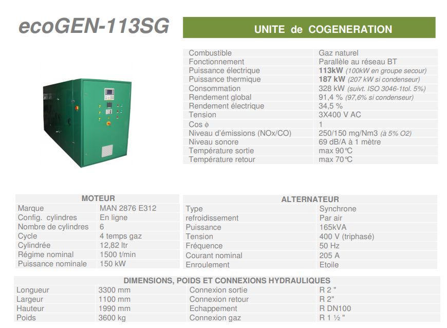 Ecogen-113SG - Unité de cogénération Cogengreen - Puissance électrique 113 kW (100 kW en groupe secours)_1