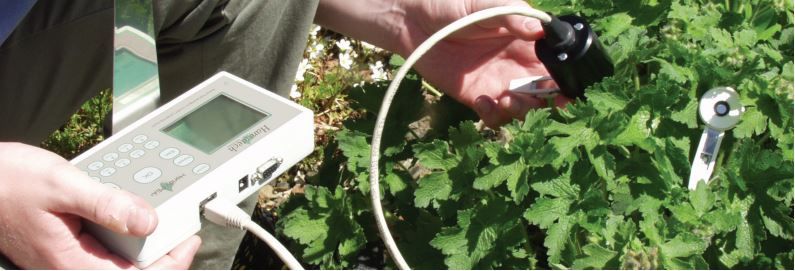 Hansatech handy pea plus fluorescence chlorophyllienne excitation continue_1