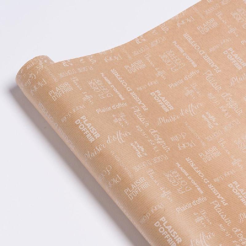 Papier cadeau kraft Plaisir d'offrir 0,70x100 m_1