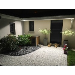 Ruban LED HEXALINE 100W - Éclairage intérieur et extérieur - IP65 - 5000mm - Blanc_1