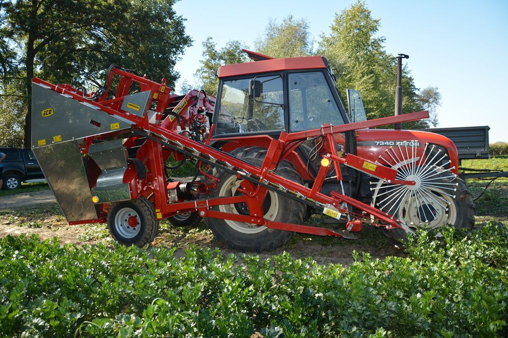 Récolteuse à carottes Alina Eco II - Weremczuk - 0,06 à 0,10 ha/h - 75 ch - légumes racines_1