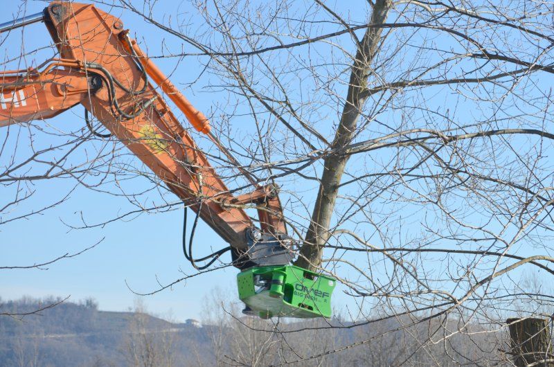 Grappin coupeur forestier bi300 - omef-group srl - prise min du tronc 60 mm - ouverture de coupe 280 et 300 mm_1