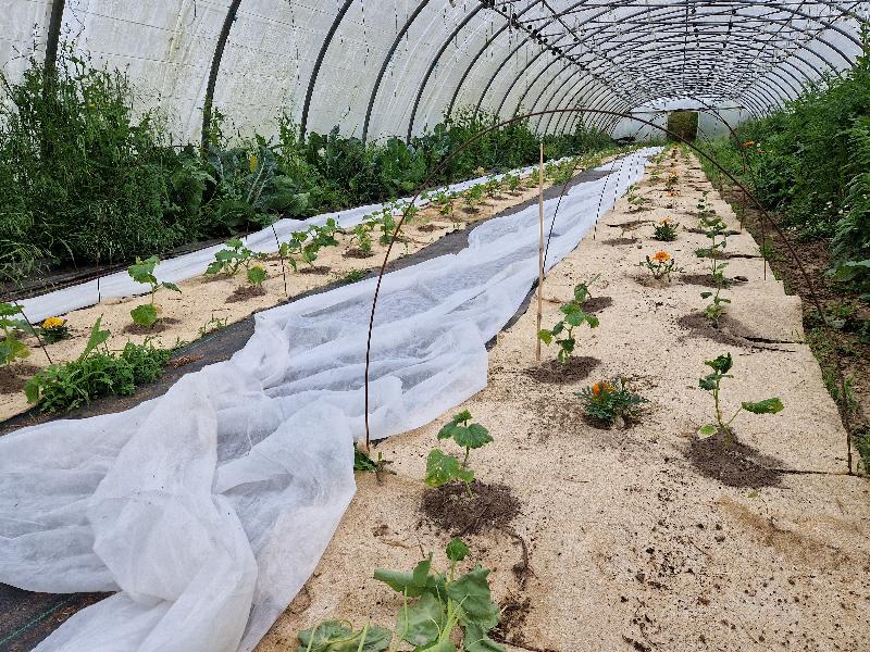 Toile de paillage 100% chanvre - 50m x 120cm, biodégradable et utilisable en agriculture biologique_1