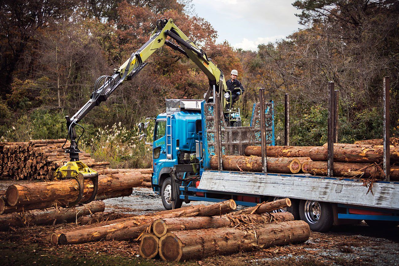 Loglift 105z grues forestières - hiab - d'une portée des extensions hydrauliques de 7,75 m et 8,98 m_1