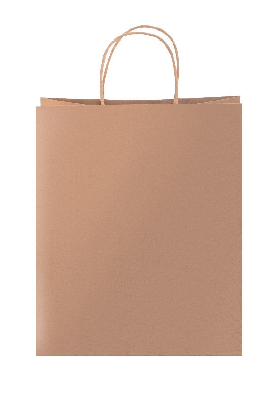 Sac cadeau Noël en papier kraft recyclé - motif estampillé, poignées rondes et étiquette cadeau - 140 g/m²_1