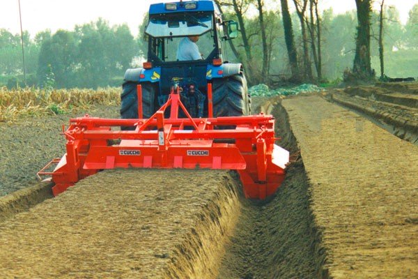 As2 - cucchi - butteuse_1