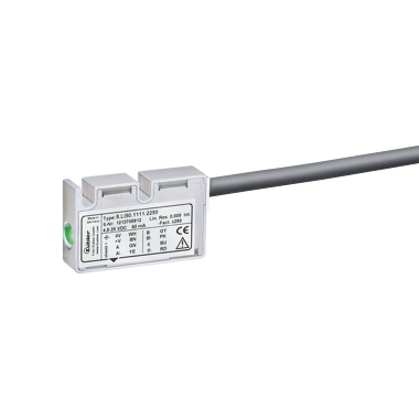 Système de mesure de longueur magnétique  -  Limes LI50 / B2_1