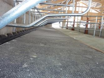 Kim Longline - Tapis caoutchouc en rouleau pour jeunes bovins - Agriest_1