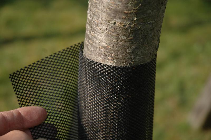 Protège-tronc en polyéthylène - 11 cm x 55 cm - Traitement anti-UV - Lot de 120 protections_1