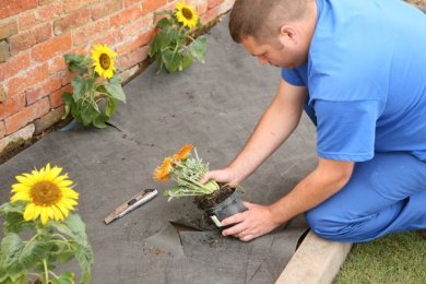 Géotextile WeedGuard pour bloquer les mauvaises herbes